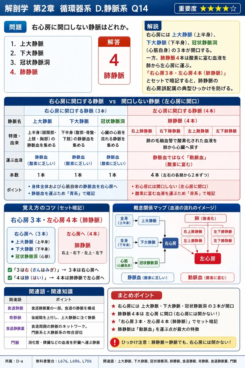 門脈圧亢進時に食道静脈叢のうっ血から生じ、破綻すると大量吐血を起こす血管病変を何というか。 解説図