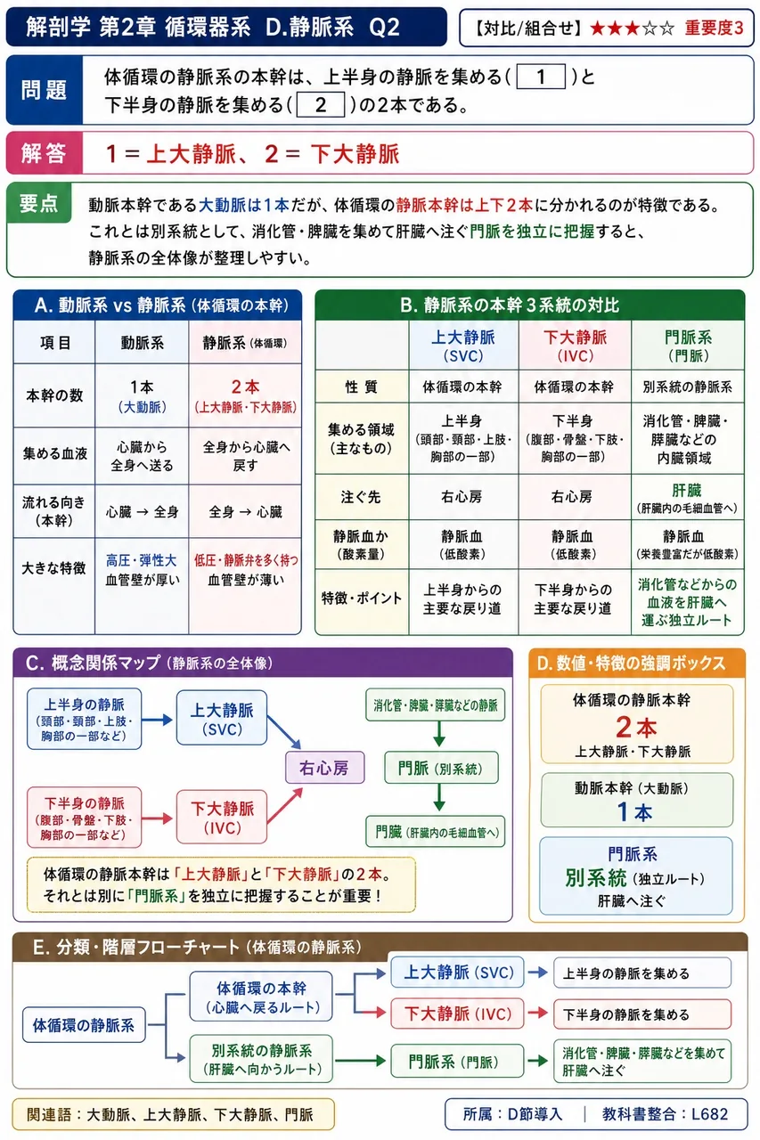 上肢の皮静脈について正しいのはどれか。 解説図