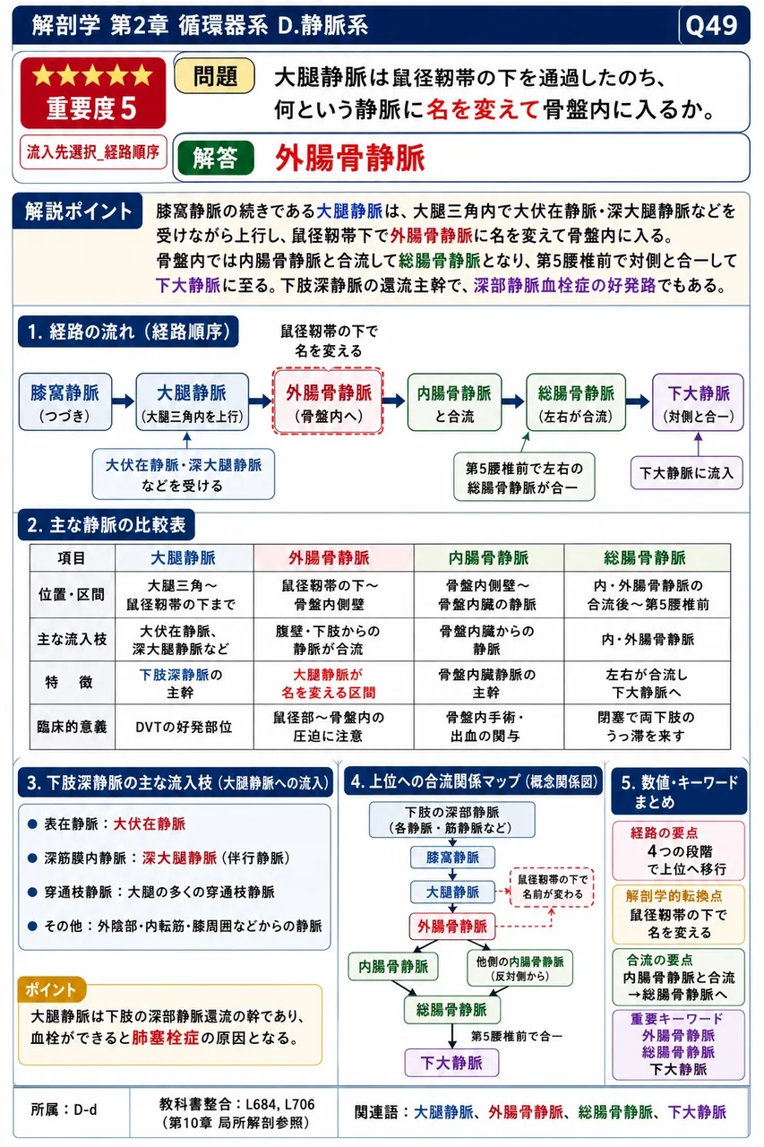 胎児の臍動脈は何本あるか。 解説図