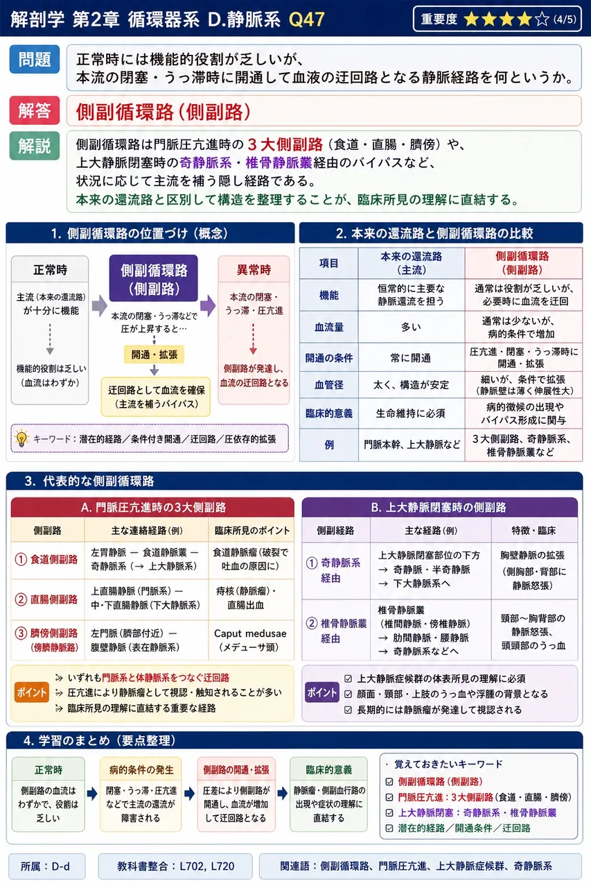 動脈管について誤っているのはどれか。 解説図