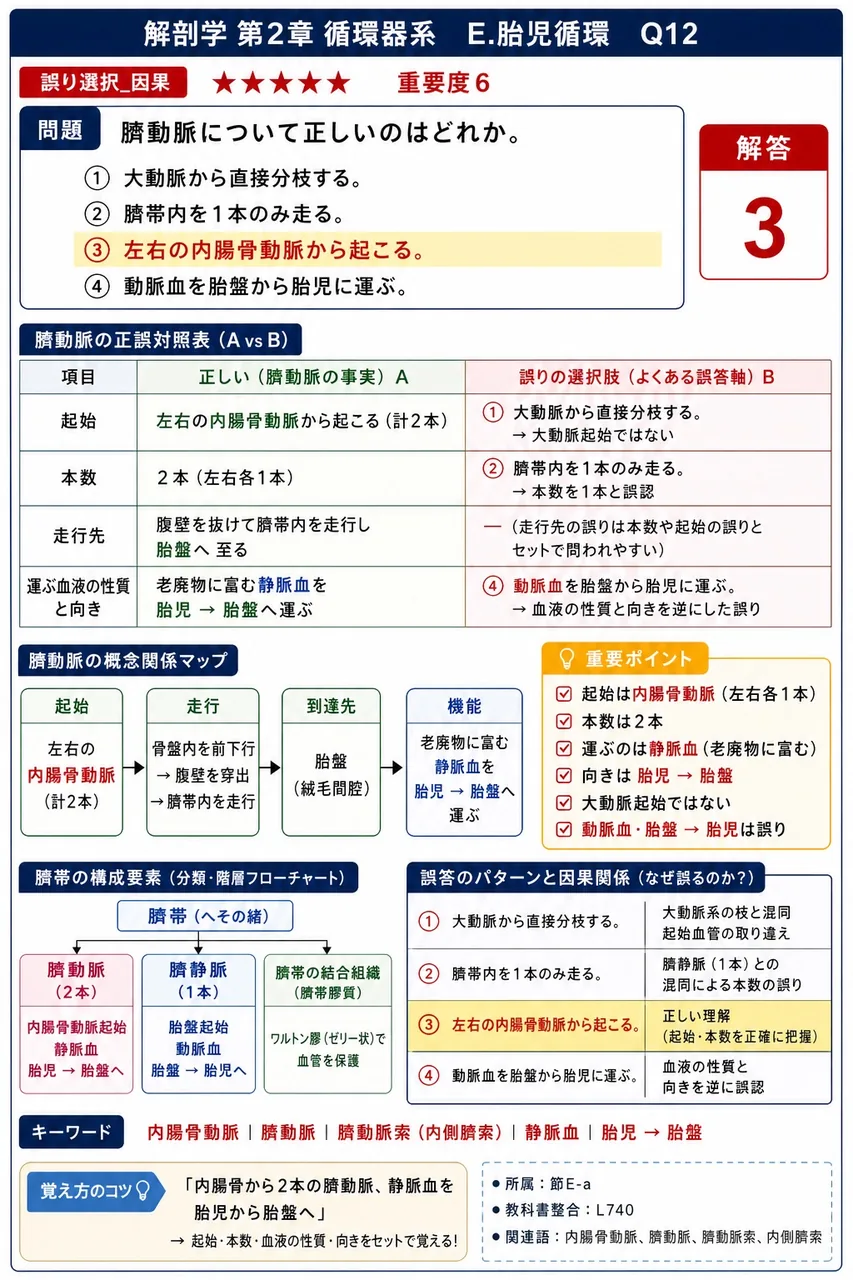 臍動脈と臍静脈の血液性状の組合せで正しいのはどれか。 解説図