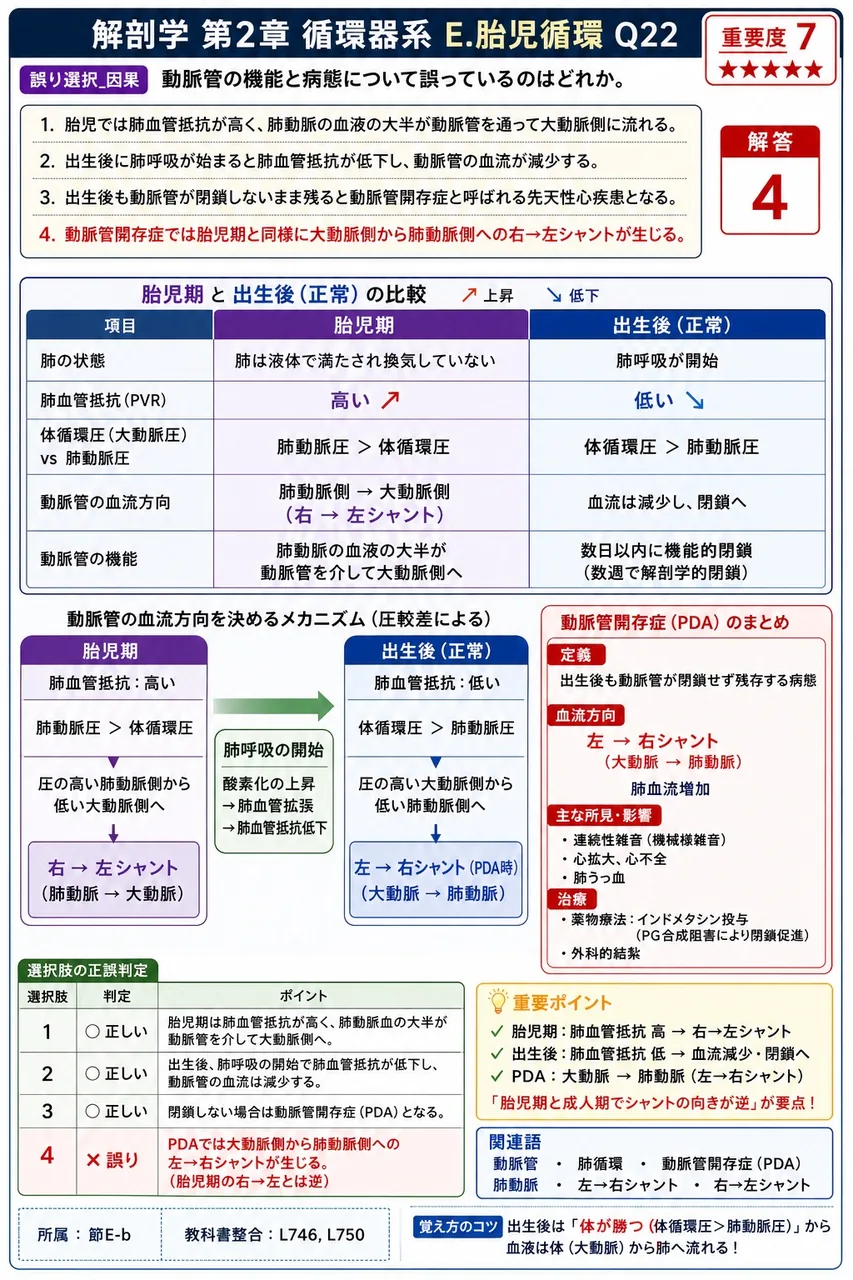 動脈管の閉鎖時期として正しいのはどれか。 解説図