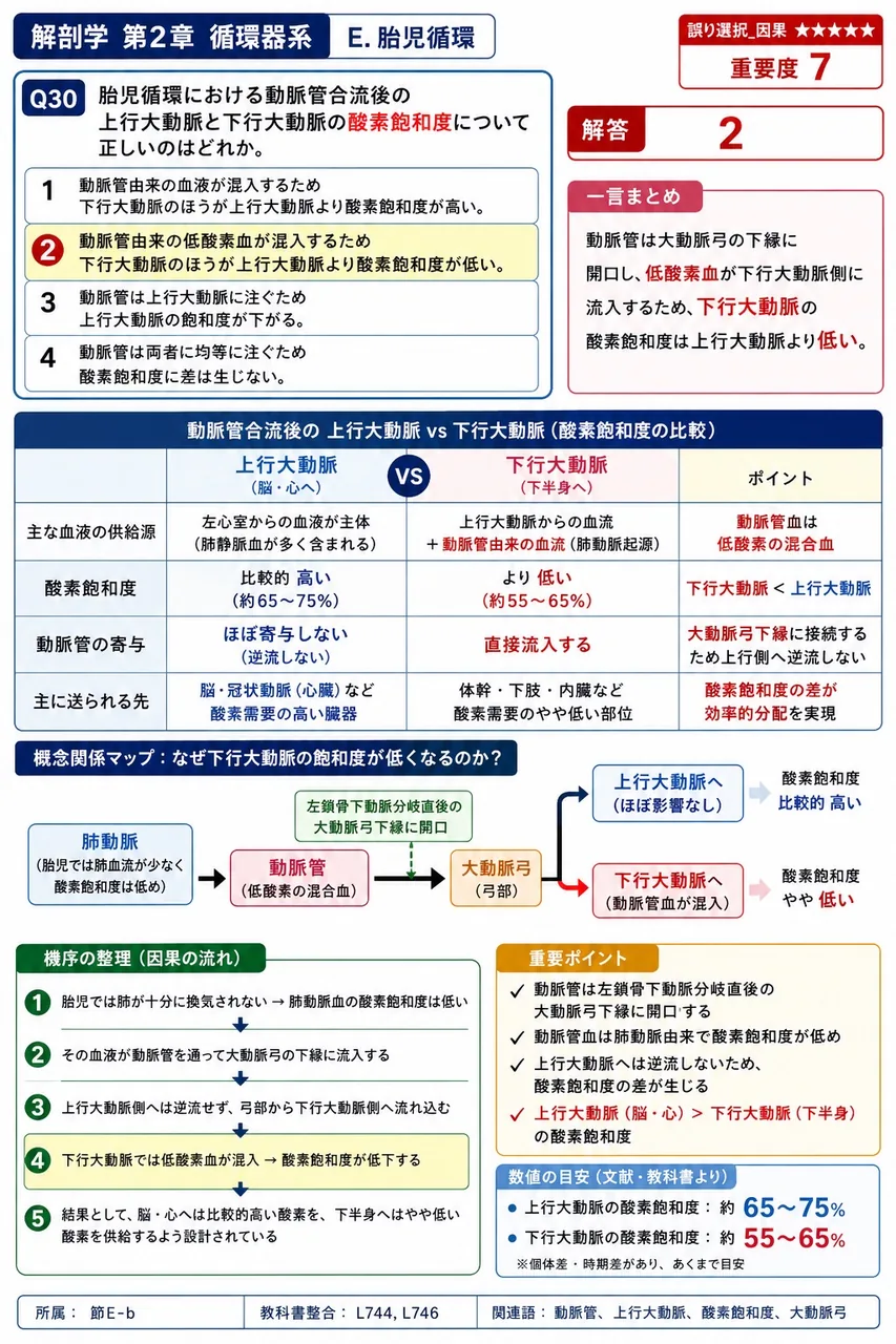 出生後、卵円孔閉鎖の一因として右心房圧を低下させる要因は、臍帯結紮による何の途絶か。 解説図