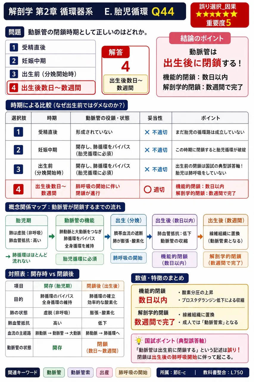 リンパ管が合流を繰り返してできた、最終的に静脈に注ぐ太いリンパ管を総称して何というか。 解説図
