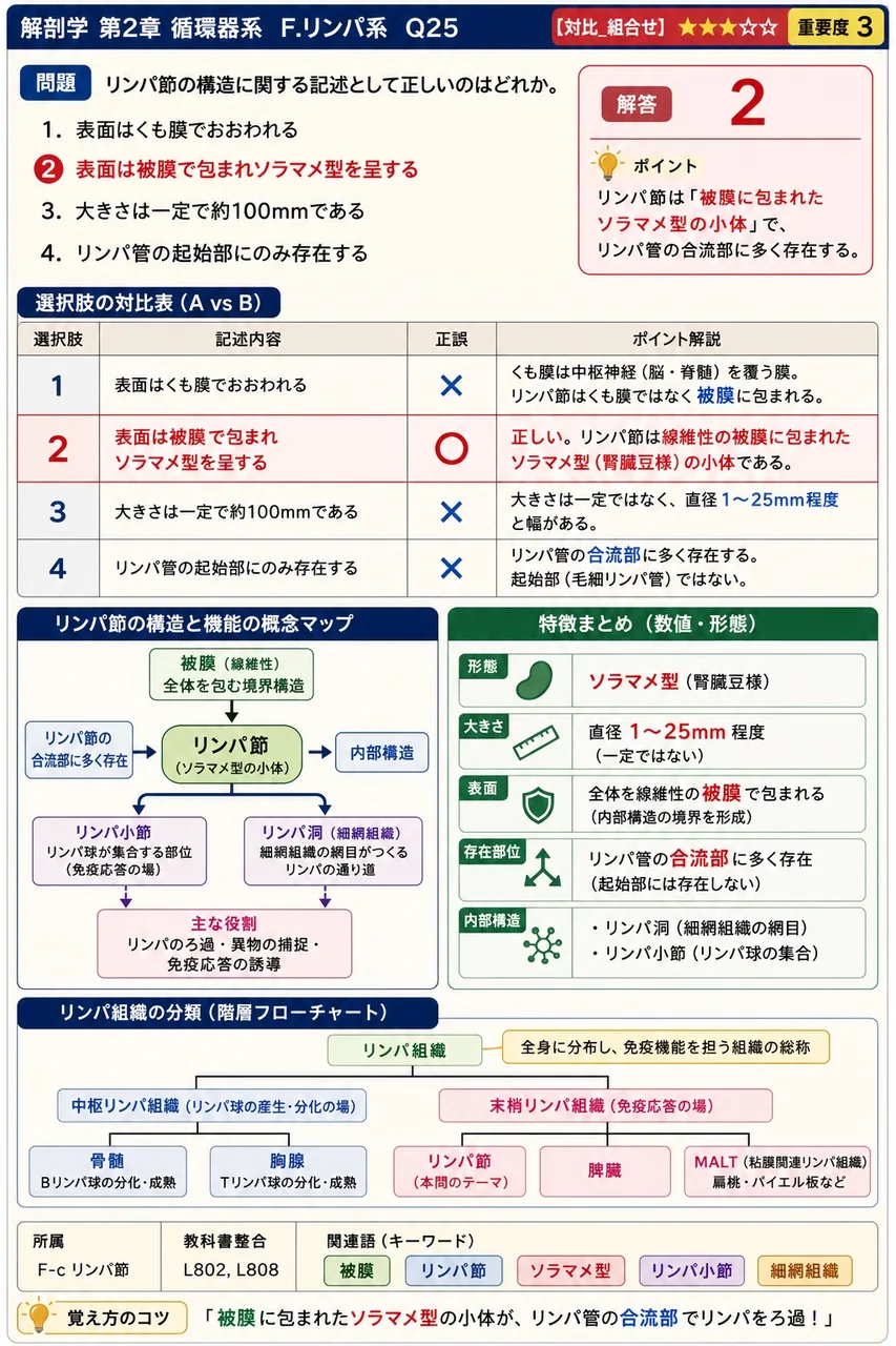 リンパ節の構造に関する記述として正しいのはどれか。 解説図