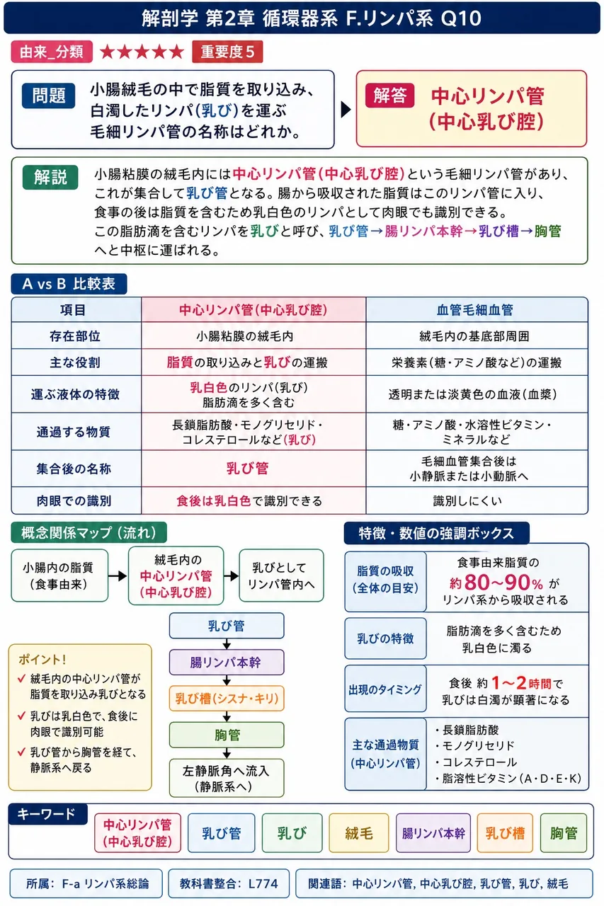 リンパ小節の中央部にあり、抗原刺激に応じてBリンパ球が分裂・増生する領域を( )という。 解説図