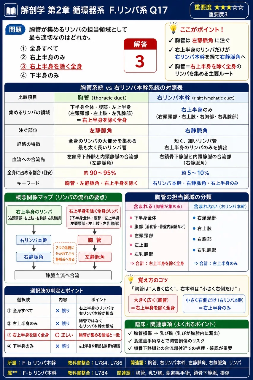 脾臓に関する記述として誤っているのはどれか。 解説図