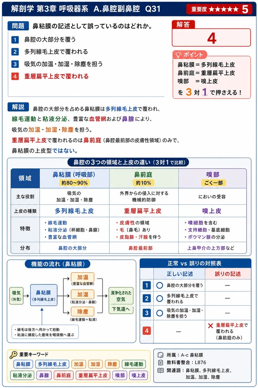鼻腔の外側壁から内方に張り出す3対のひさし状構造で、その陰に上・中・下鼻道と呼ばれる通り道を生じるものを何というか。 解説図