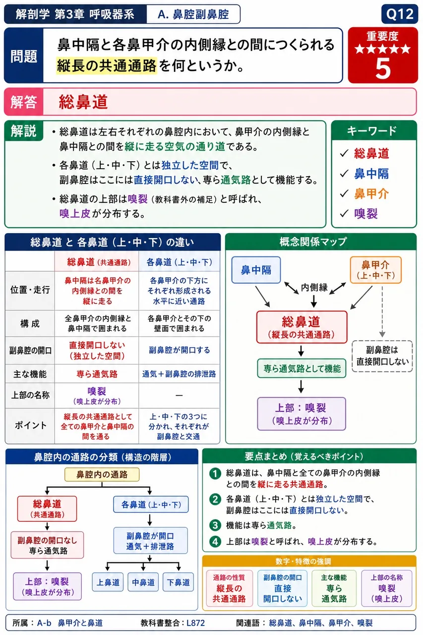 独立した1対の顔面骨として存在する鼻甲介はどれか。 解説図