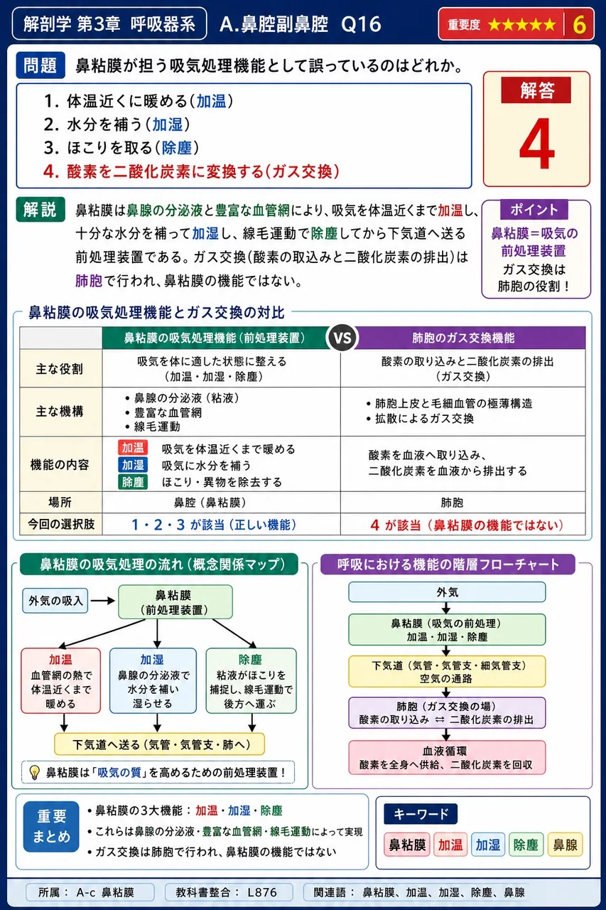 頭蓋骨の中にあって鼻腔と交通している空洞を何と総称するか。 解説図