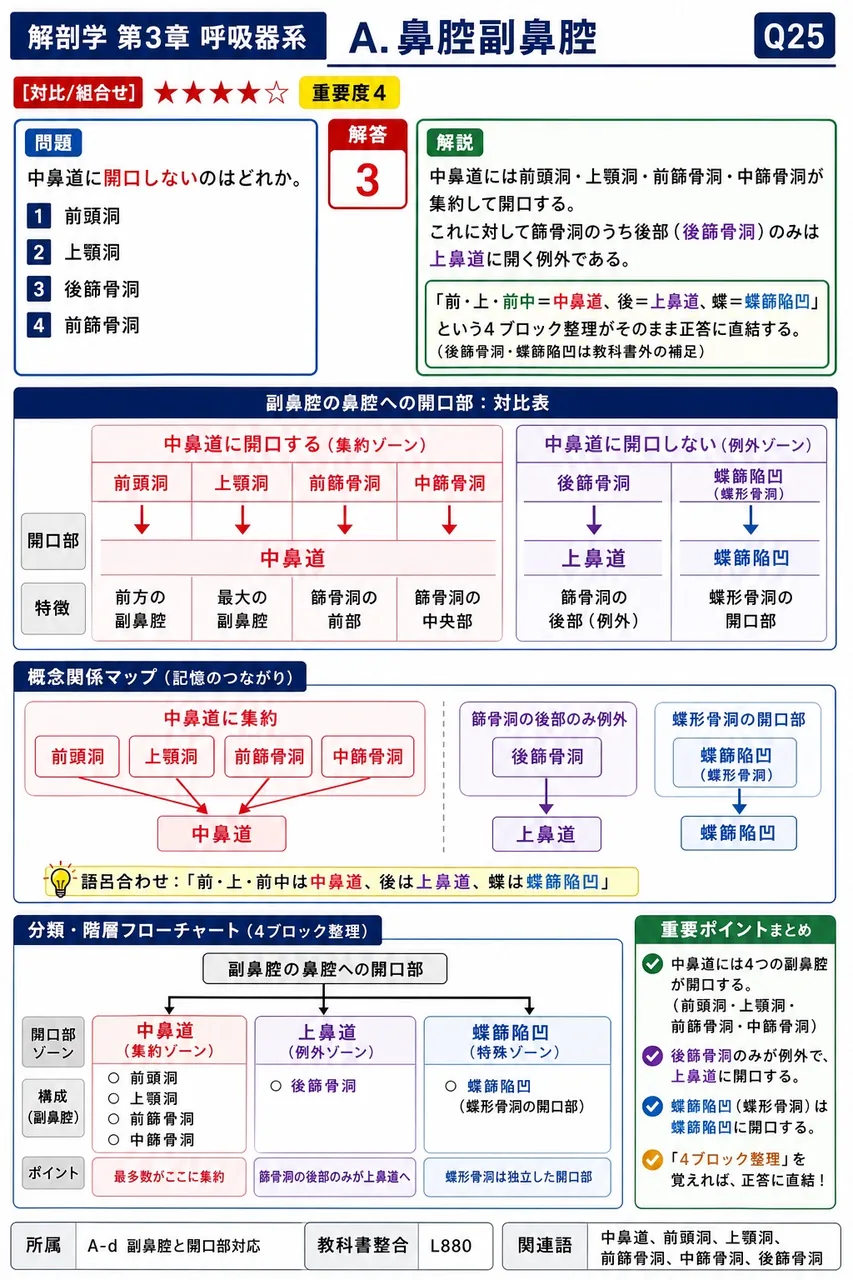 キーゼルバッハ部位の構造的特徴として正しいのはどれか。 解説図