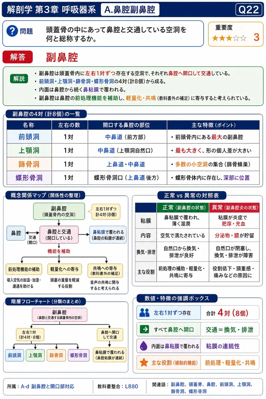 鼻腔の正中矢状断における配置として正しいのはどれか。 解説図