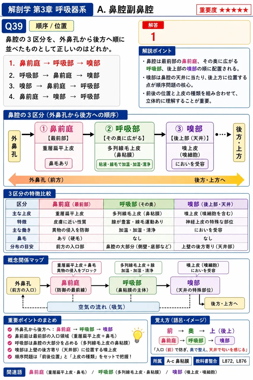 鼻甲介と鼻中隔の関係について正しいのはどれか。 解説図