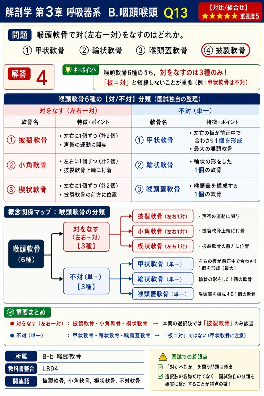 嚥下時に下降し、誤嚥を防ぐふたの役割を果たす構造を答えよ。 解説図