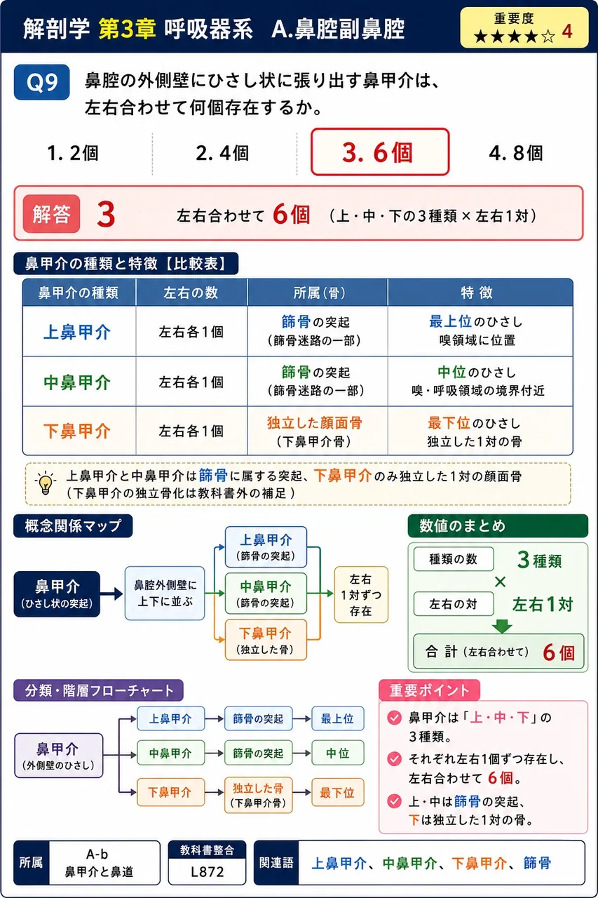 喉頭軟骨どうしを連結し、声帯の開閉や緊張を調節する多くの小さな筋を総称して( )という。 解説図