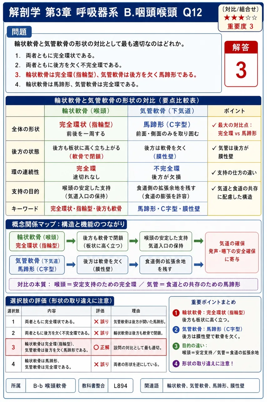 声門の構成として最も適切なのはどれか。 解説図