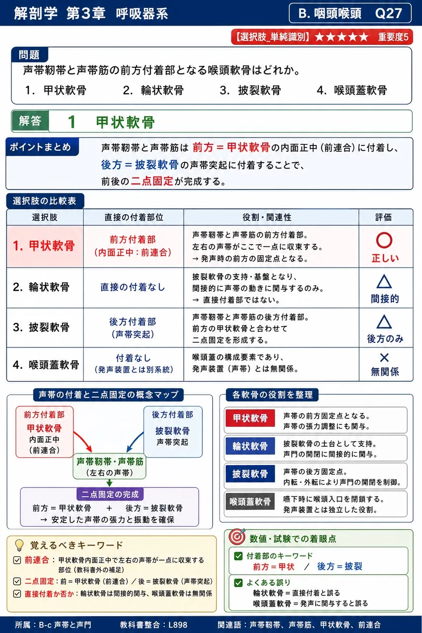 声門閉塞時に気道を確保するため気管を切り開く処置(気管切開)について正しいのはどれか。 解説図