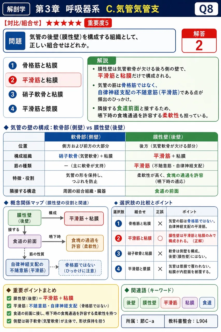 肺区域の数で正しい組合せはどれか。 解説図