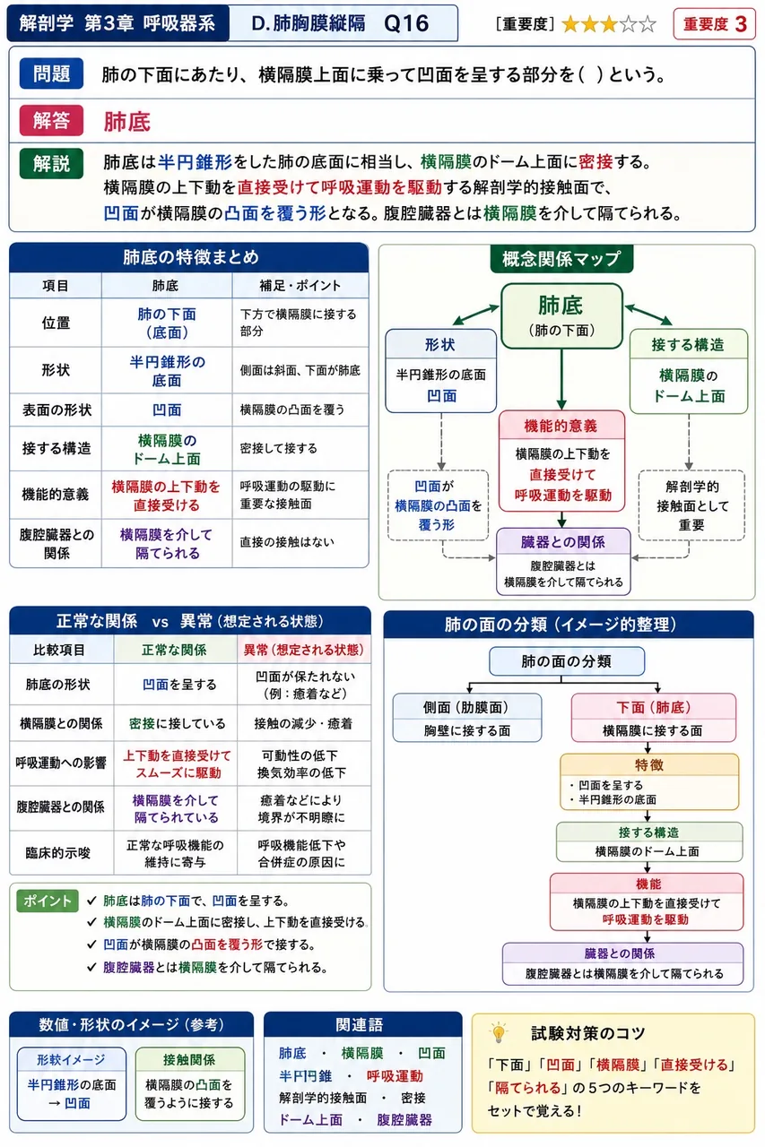 片肺(右または左)から左心房へ流入する肺静脈の本数として正しいのはどれか。 解説図