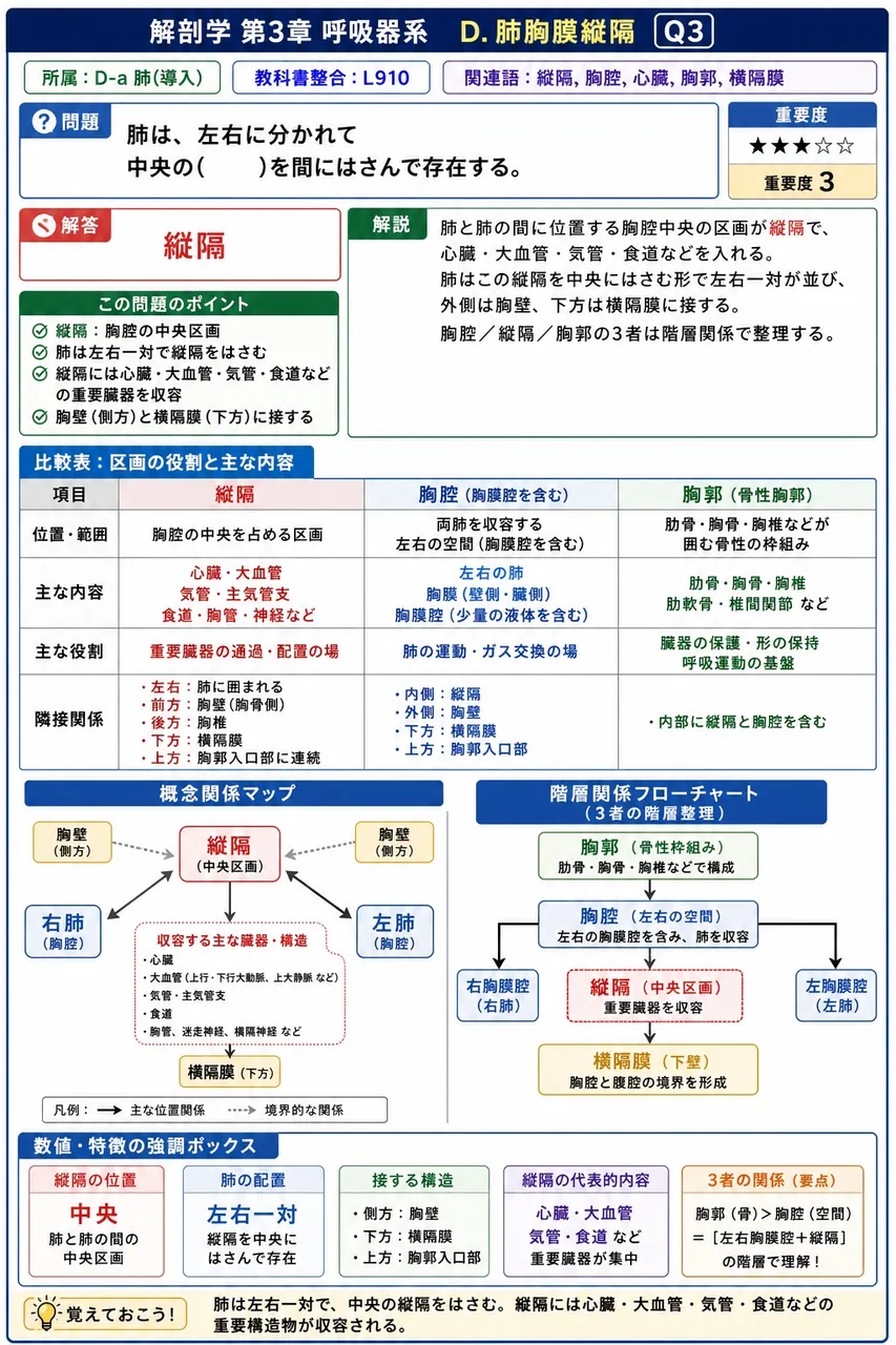 臓側胸膜と壁側胸膜の間に肺門での折り返しによって形成される閉鎖空間を何というか。 解説図