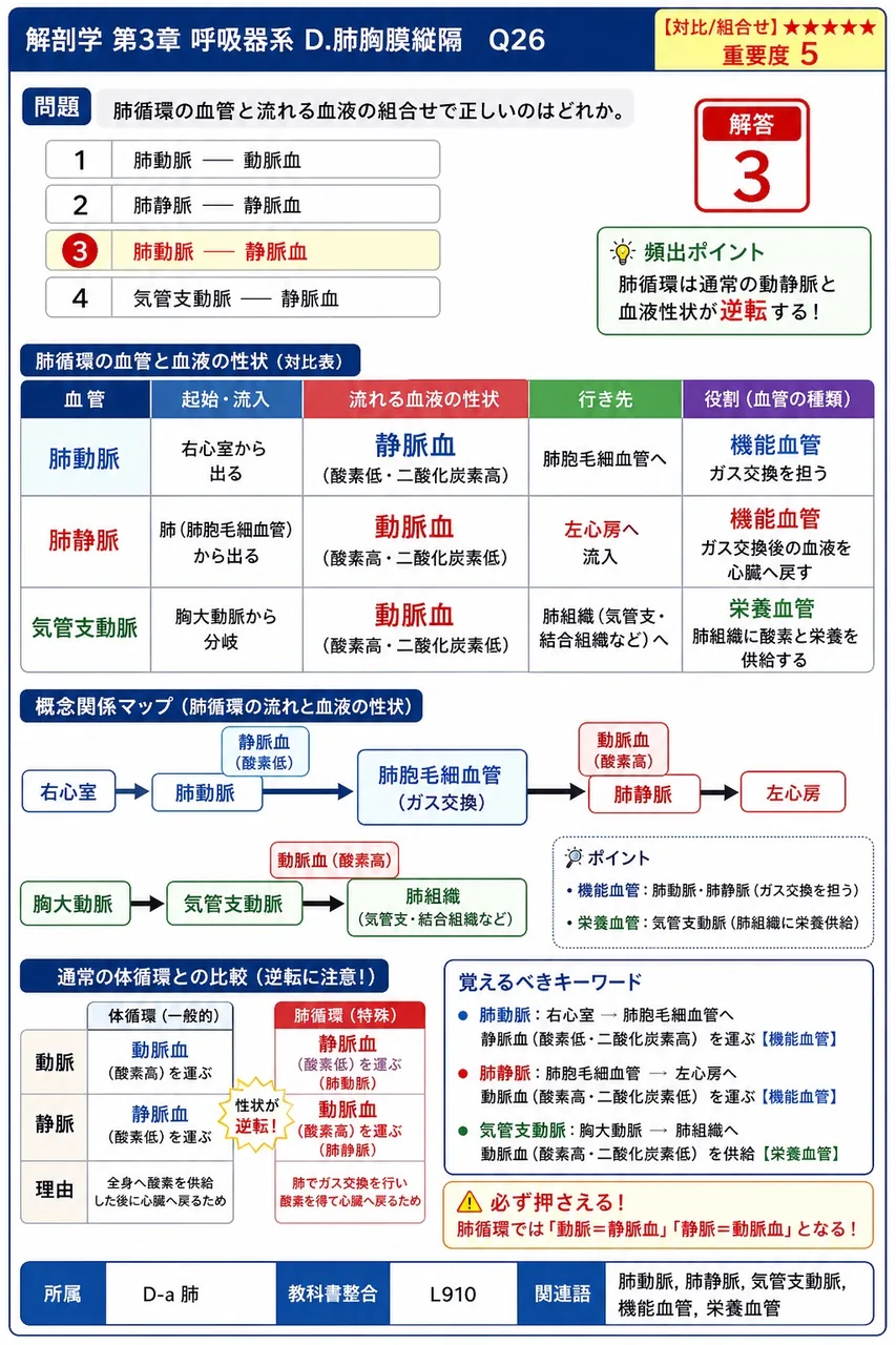 胸膜腔を満たす液体として正しいのはどれか。 解説図