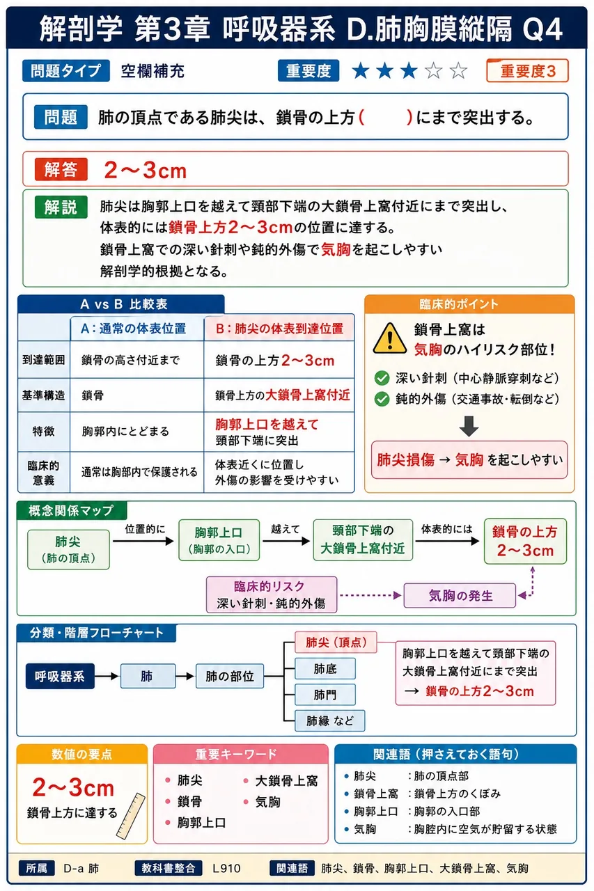 縦隔の境界として正しい組合せはどれか。 解説図