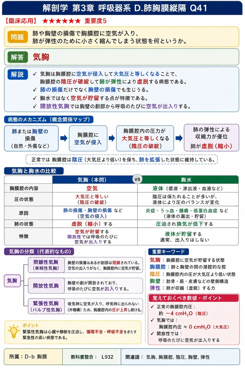 縦隔の内容物として誤っているのはどれか。 解説図