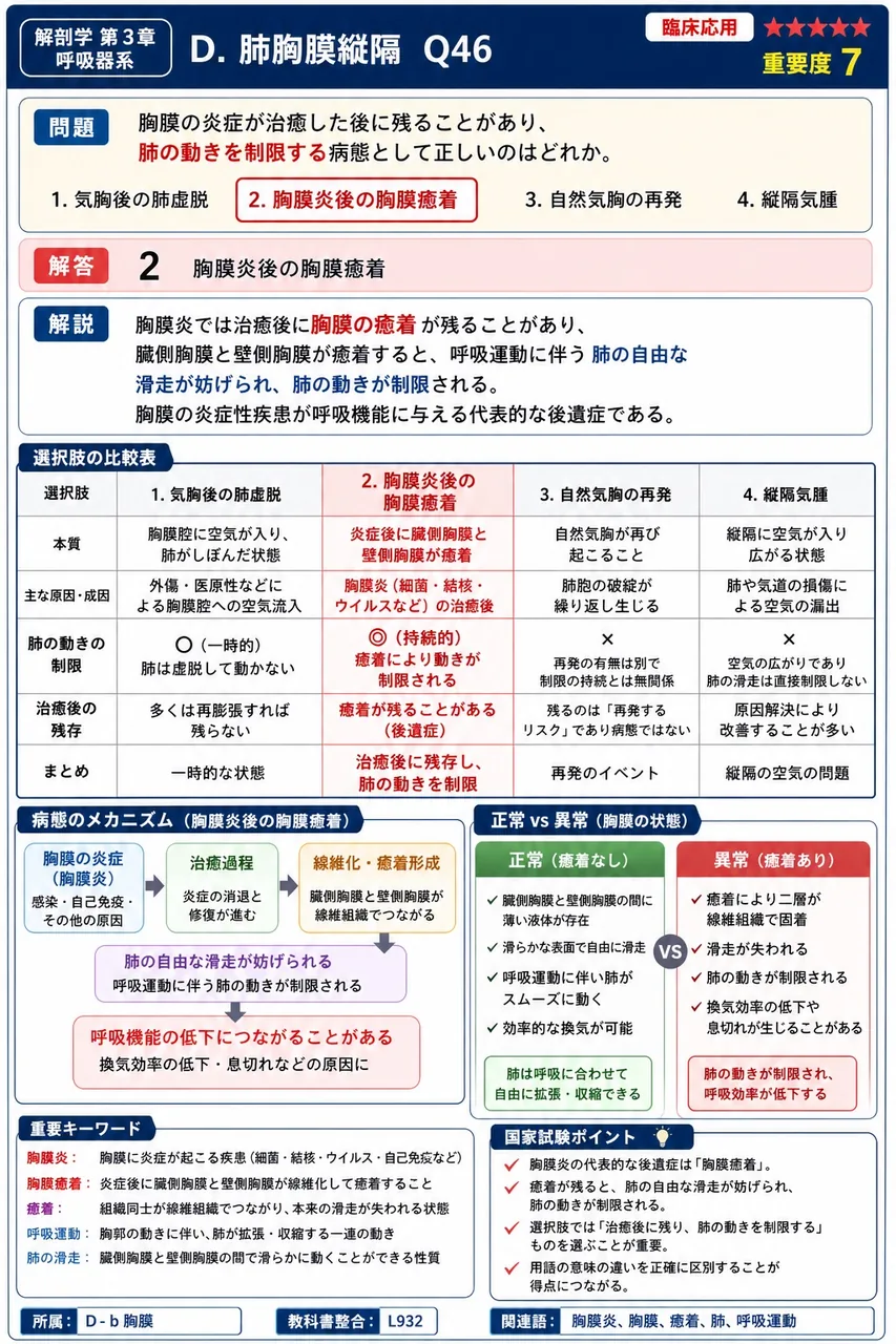 胸郭は12個の胸椎・12対の肋骨・( )でつくる骨性の籠で、その内部空間が胸腔である。 解説図
