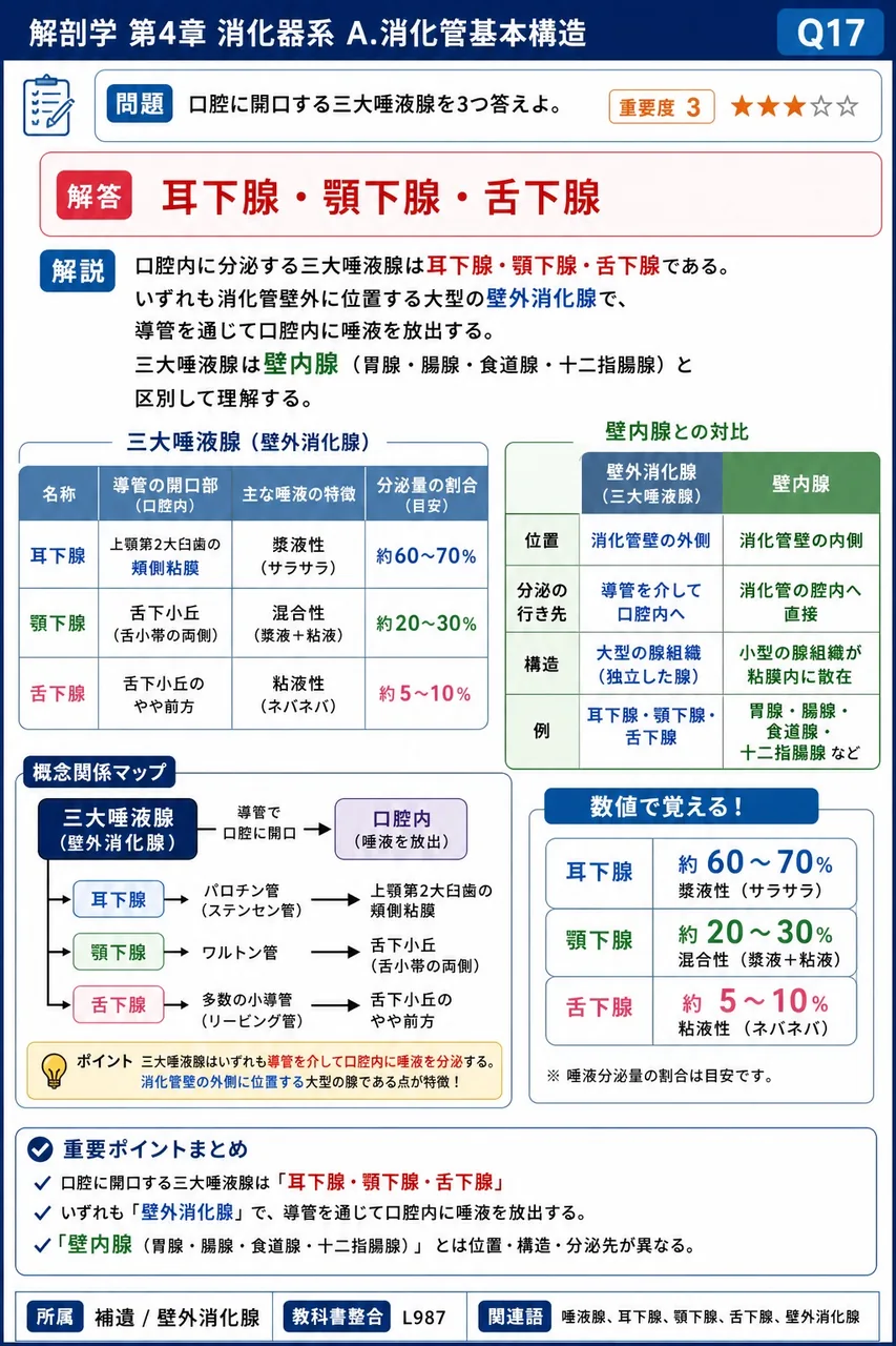口腔に開口する三大唾液腺を3つ答えよ。 解説図