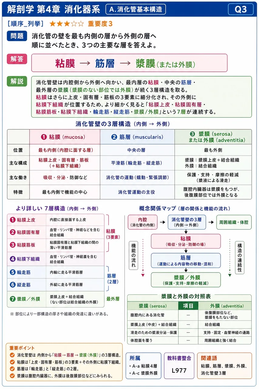 唾液腺・肝臓・膵臓を、消化管壁との位置関係から分類した呼称を答えよ。 解説図