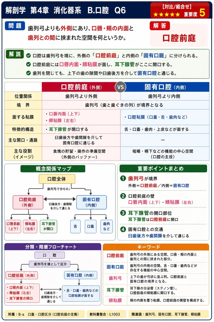 歯列弓よりも外側にあり、口唇・頬の内面と歯列との間に挟まれた空間を何というか。 解説図