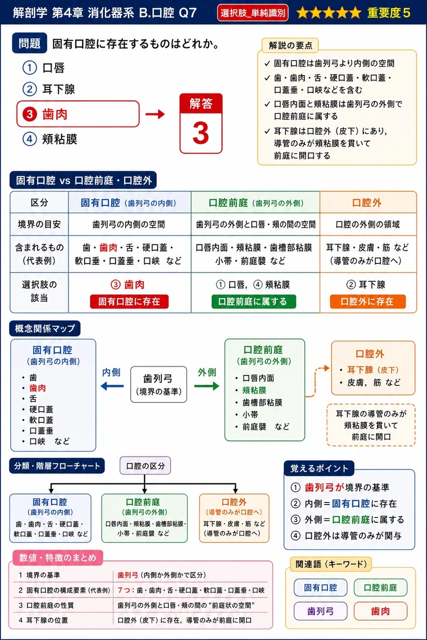 固有口腔に存在するものはどれか。 解説図