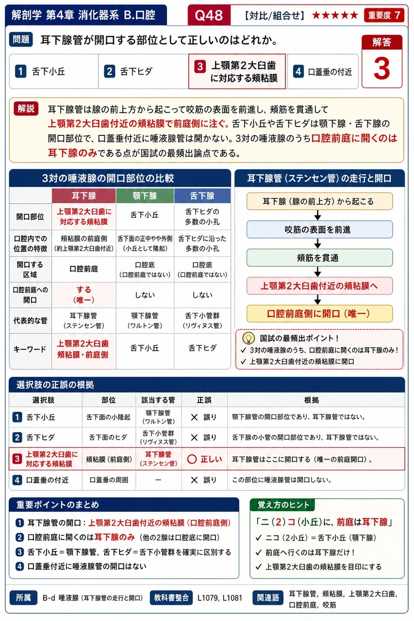 口腔前庭と固有口腔とを境する構造を何というか。 解説図