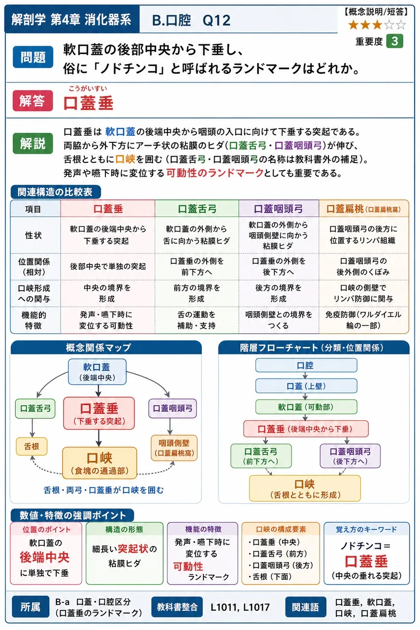 軟口蓋の後部中央から下垂し、俗に「ノドチンコ」と呼ばれるランドマークはどれか。 解説図