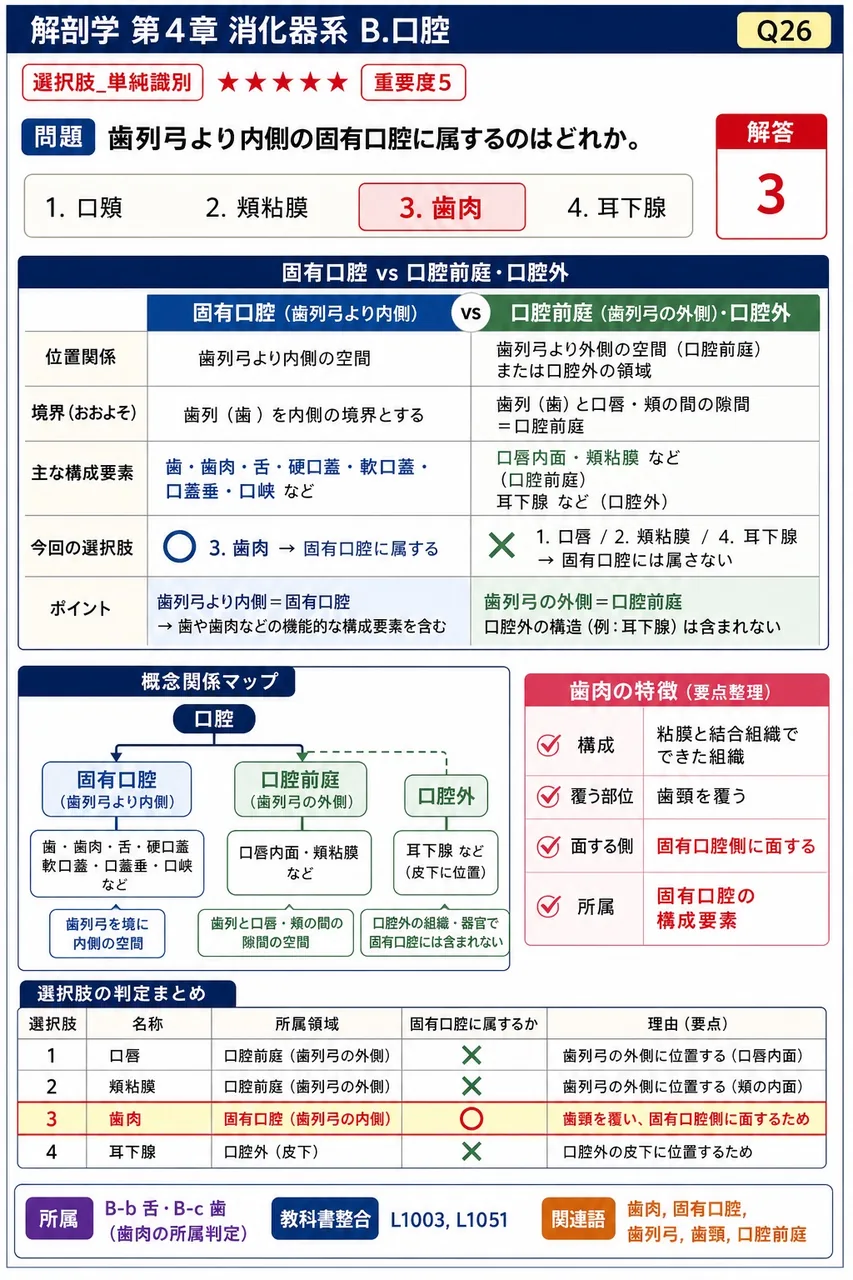 歯列弓より内側の固有口腔に属するのはどれか。 解説図