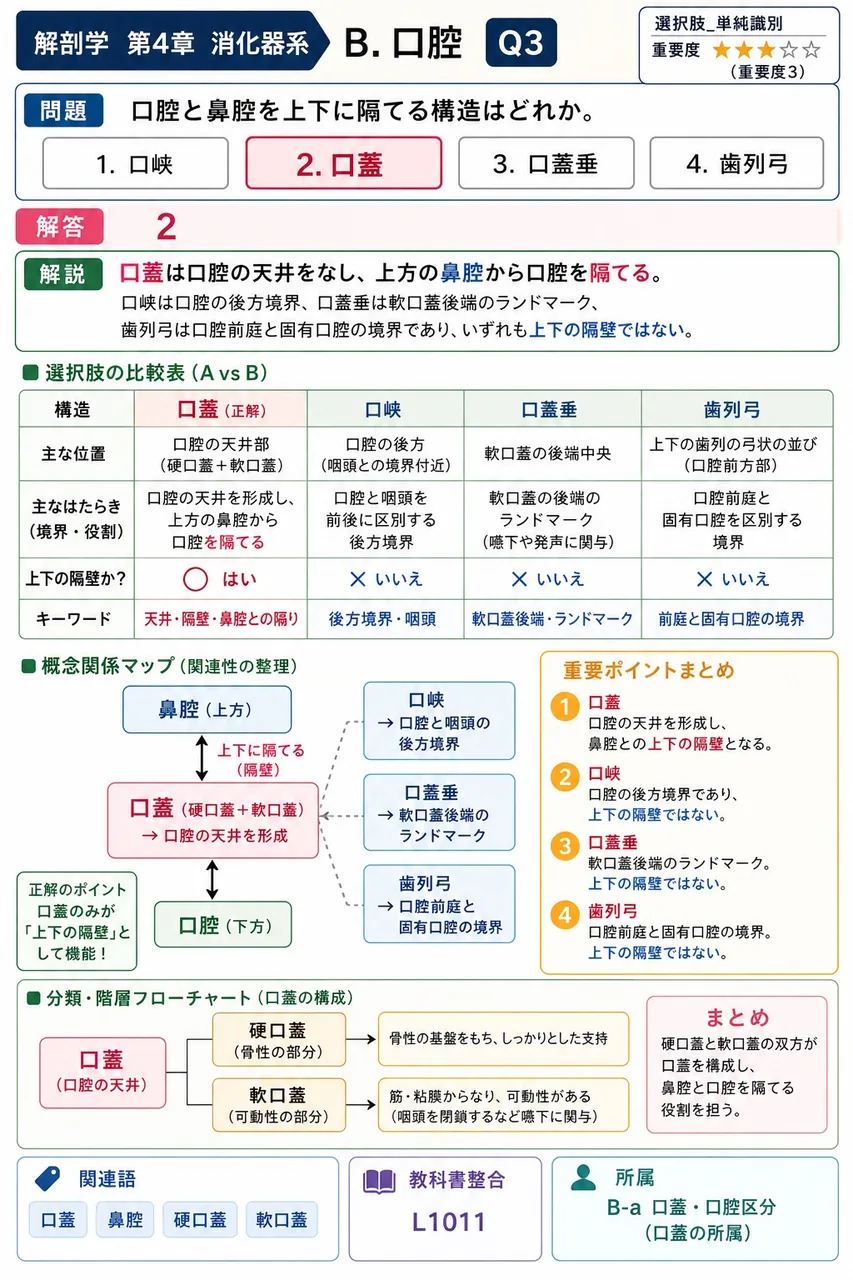 口腔の周囲には3対の大きな腺があり、( )を分泌してまとめて唾液腺と総称する。 解説図