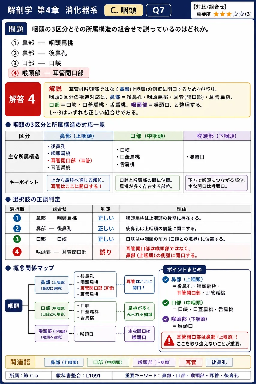 咽頭の3区分とその所属構造の組合せで誤っているのはどれか。 解説図