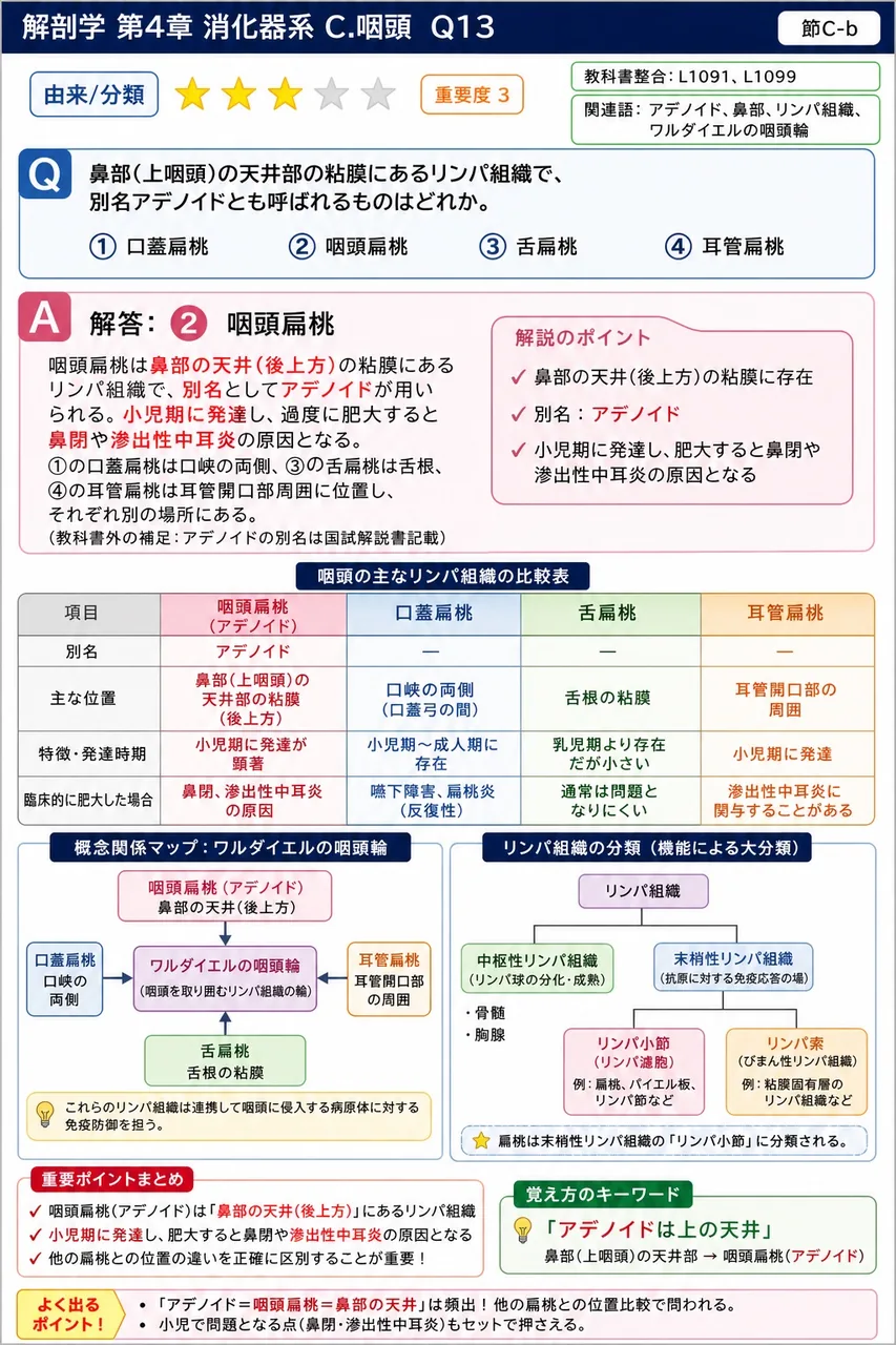 嚥下の咽頭相において、咽頭から鼻腔への通路を遮断する構造はどれか。 解説図
