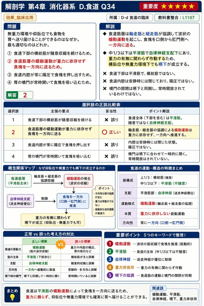 胃間膜の付着について、正しい組合せはどれか。 解説図