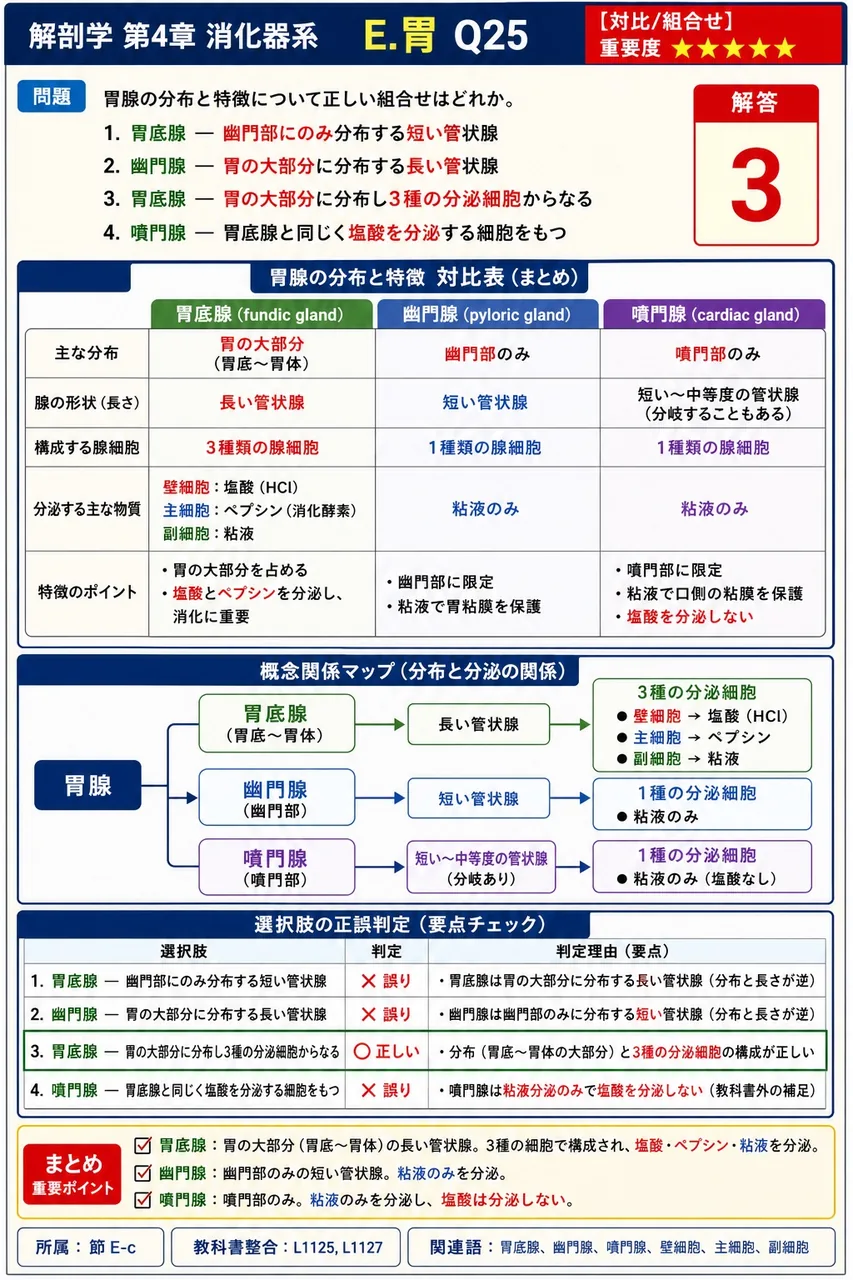 ガストリンの主な作用として正しいのはどれか。 解説図