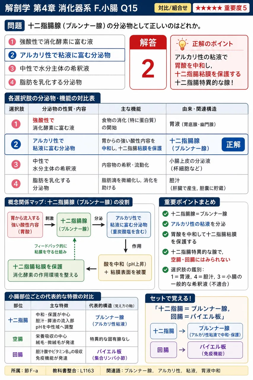 総胆管が開口する部位はどれか。 解説図