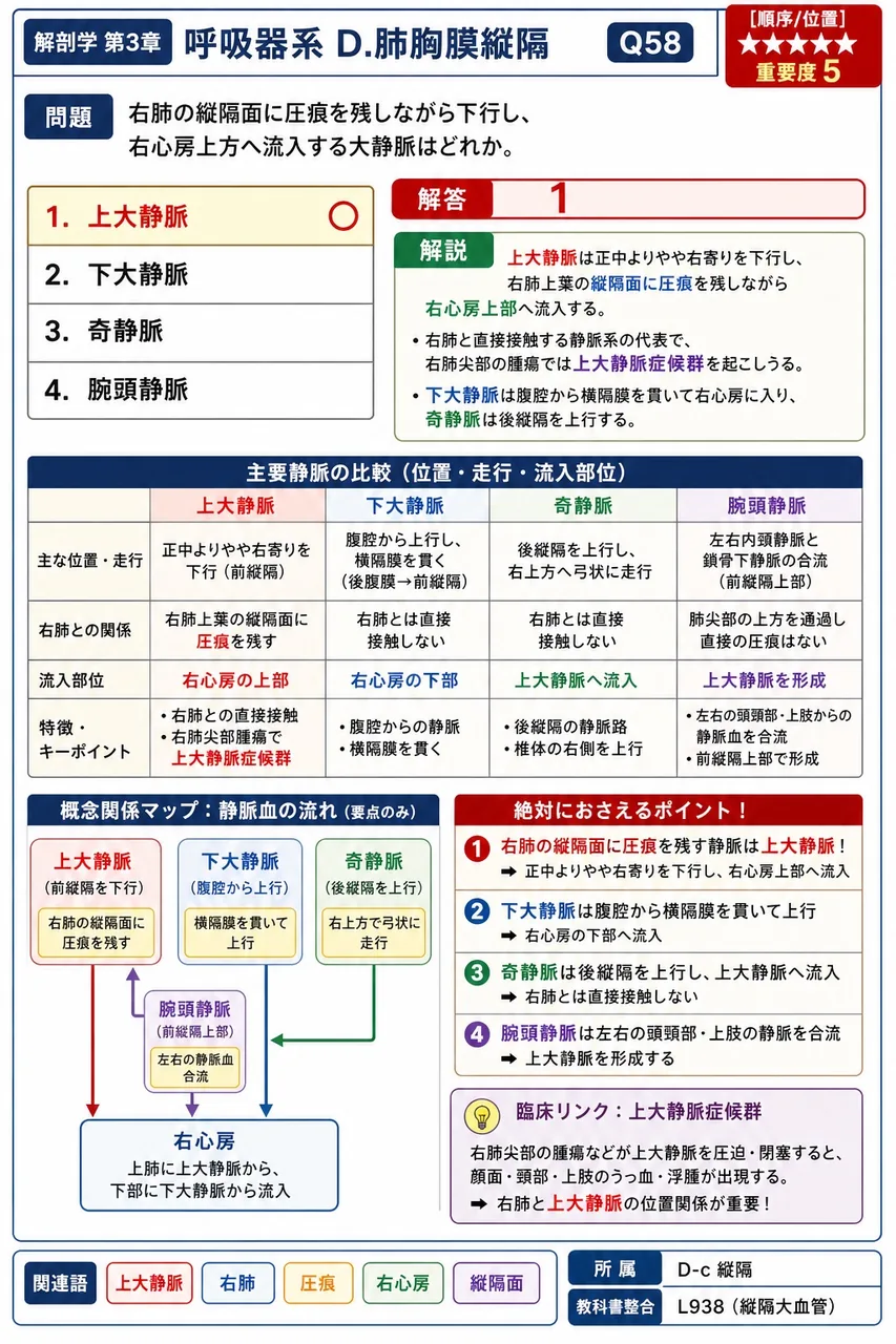 小腸の運動として通常挙げられないのはどれか。 解説図