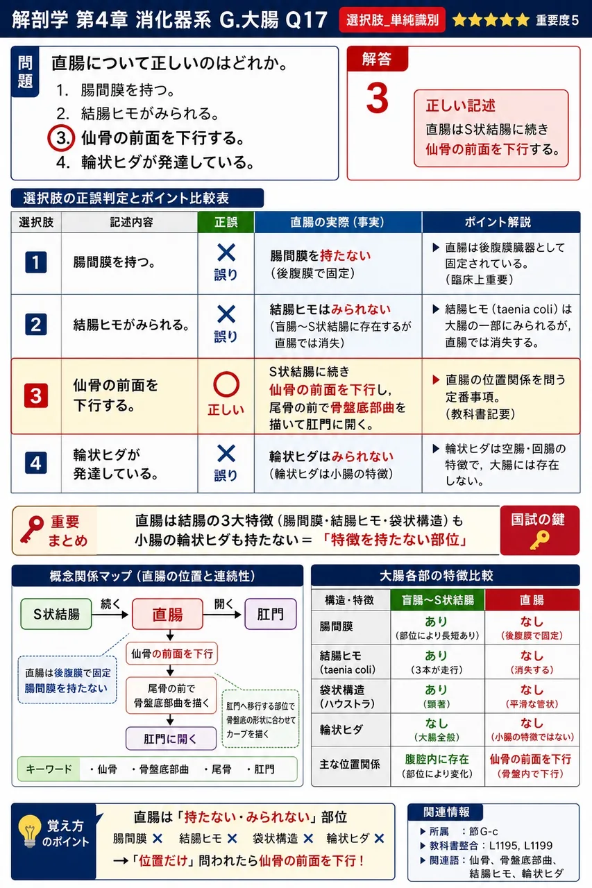 排便の機序に関する記述として正しいのはどれか。 解説図
