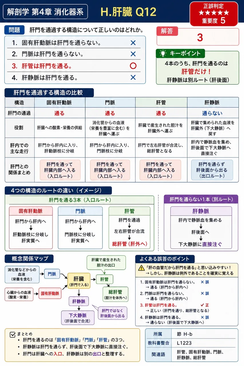 肝臓の実質を六角形構造の( c )に区画する結合組織性の鞘を( a )といい、その組織は( b )からなる。直径は約1mmである。 解説図