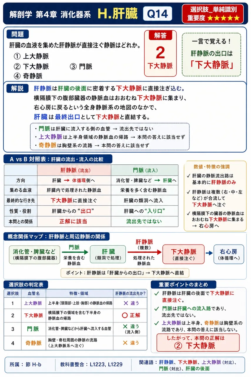 グリソン鞘の中を走る「肝3つ組」の構成要素として、適切でないのはどれか。 解説図