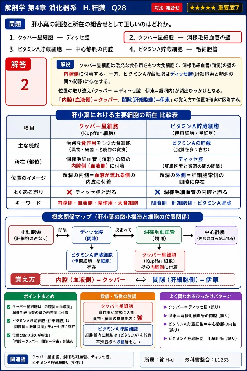 肝細胞で産生された胆汁の流れとして正しい順序はどれか。 解説図