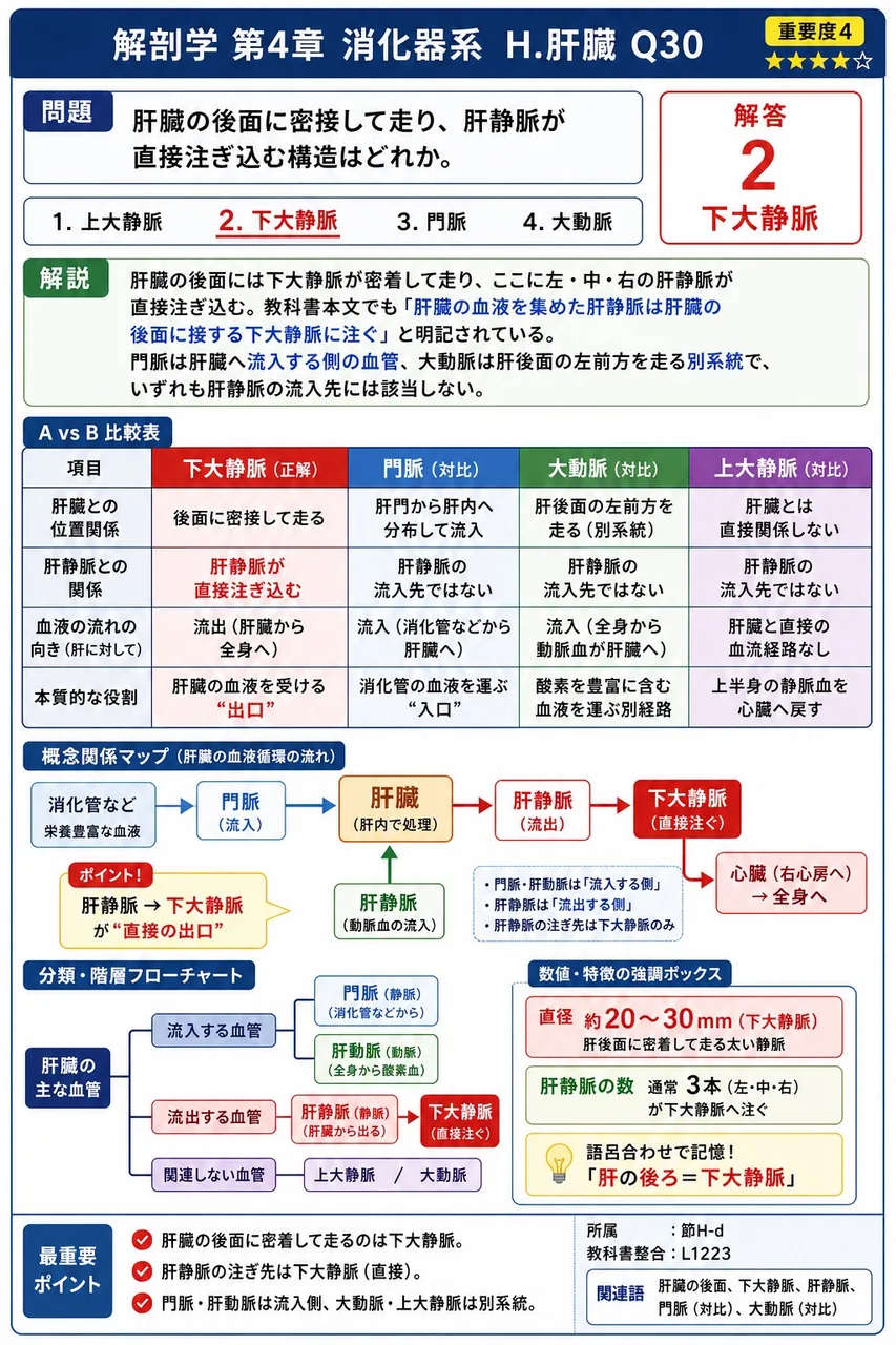 肝臓の後面に密接して走り、肝静脈が直接注ぎ込む構造はどれか。 解説図