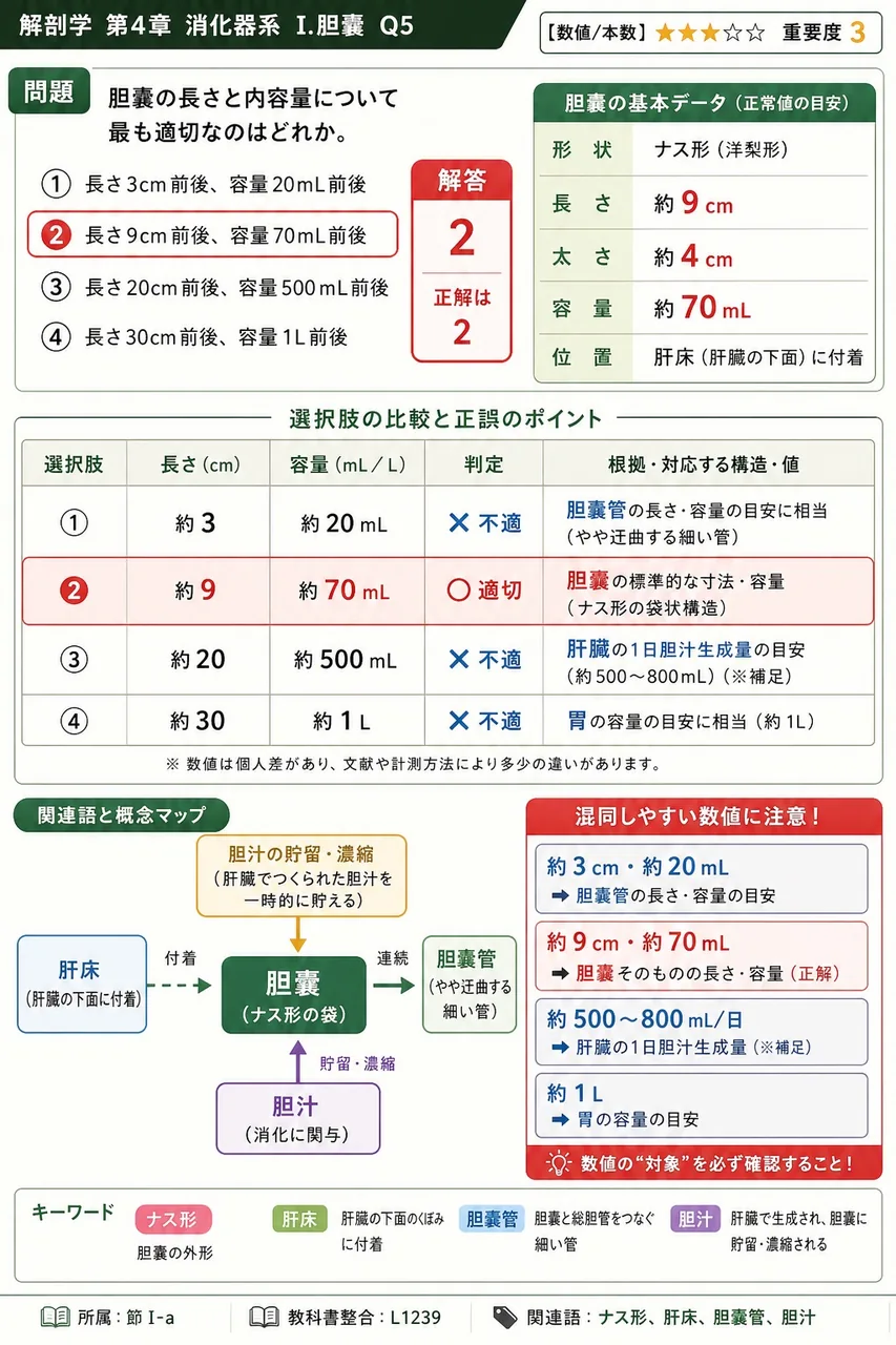 膵臓の位置・形状について正しいのはどれか。 解説図