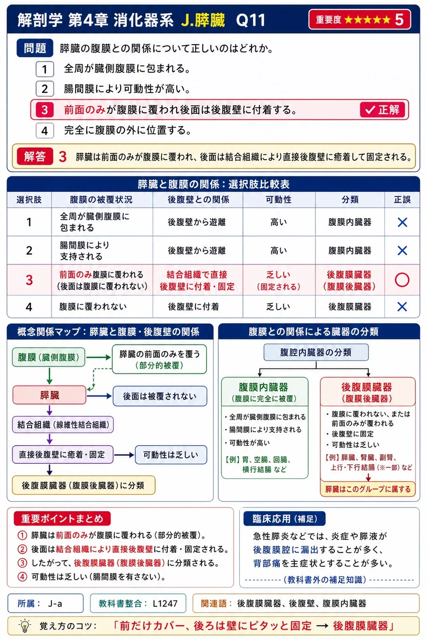 腹膜内臓器に分類されるのはどれか。 解説図
