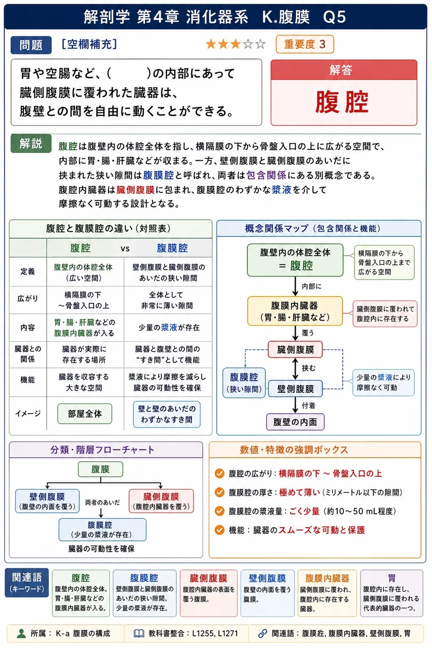 胃・空腸・回腸・横行結腸のように、表面が臓側腹膜に覆われ腹腔内を自由に動ける臓器の総称はどれか。 解説図